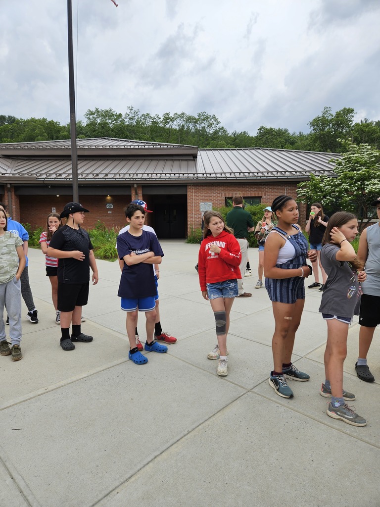 Live Feed The Barkhamsted School